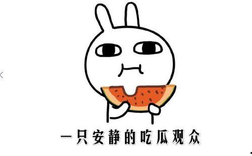 吃瓜小试牛刀,揭秘娱乐圈幕后风云