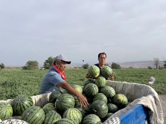 冠县吃瓜,探寻瓜果飘香的独特风味