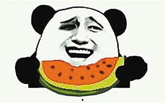热乎的吃瓜群众图片,一图看尽人间百态