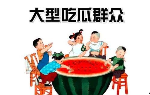 写给吃瓜群众的,吃瓜群众必备的八卦指南