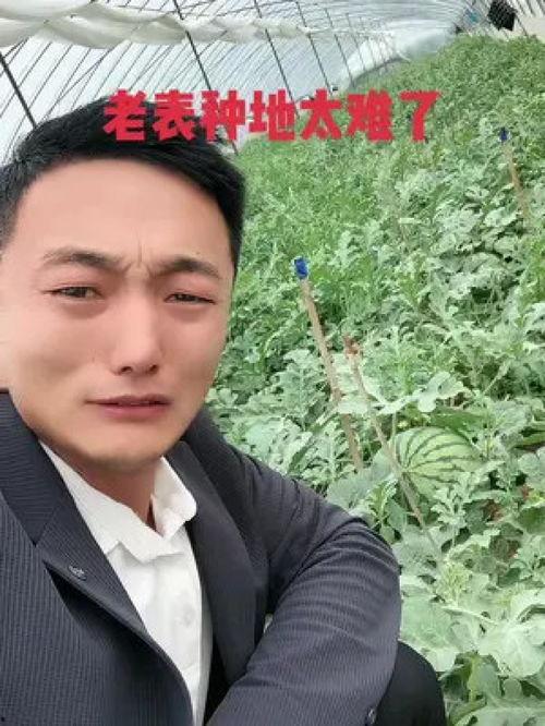 老表吃瓜,揭秘娱乐圈背后的那些事儿
