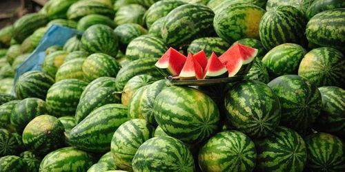 吃瓜胃好吗,揭秘夏日消暑美食与健康饮食的平衡之道
