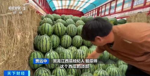 马帅吃瓜,揭秘娱乐圈幕后故事