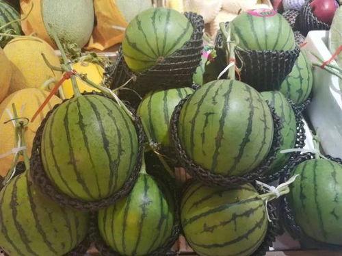 兴宁小奇葩吃瓜,揭秘当地独特美食文化