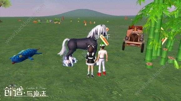 黑马情侣吃瓜,黑马情侣吃瓜背后的甜蜜故事