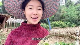 梅姑娘吃瓜,梅姑娘的瓜田奇遇记