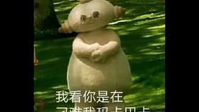 吃瓜乐仔levi,揭秘网络红人的魅力与影响力