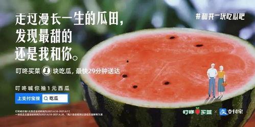 玄学瓜田吃瓜,瓜田吃瓜的神秘寓意与启示