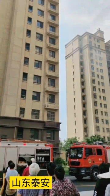 房子了吃瓜,揭秘都市生活的酸甜苦辣