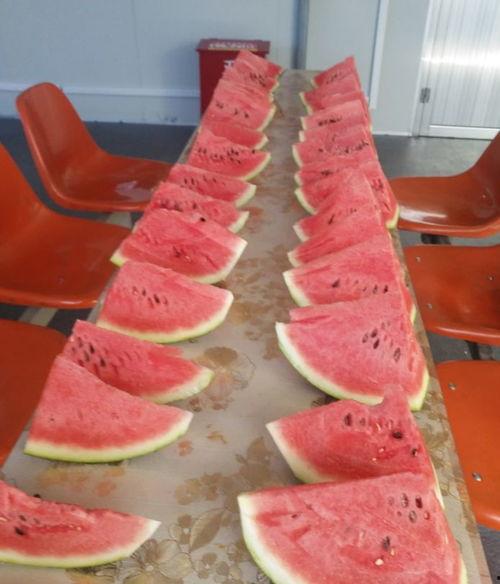 吃瓜大咖啊,吃瓜大咖的幕后故事