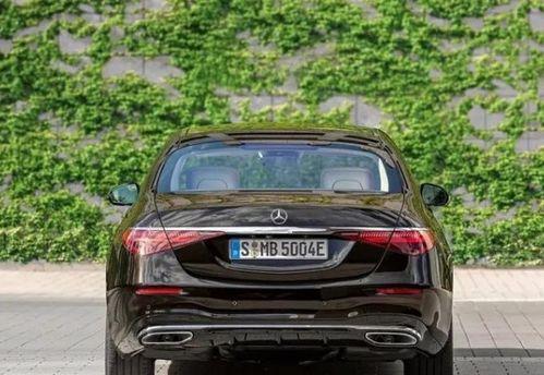 吃瓜捡奔驰,意外走红网络