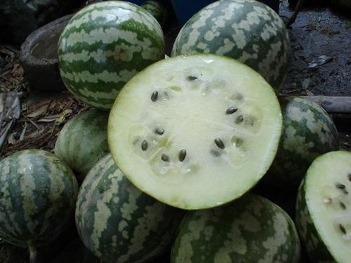 麦瓜如何打开盖子吃,美味尽享一夏