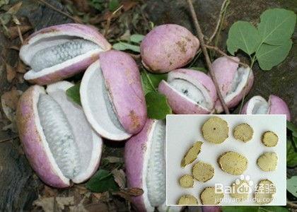 七八月瓜怎么吃,七八月瓜的多样食法探索